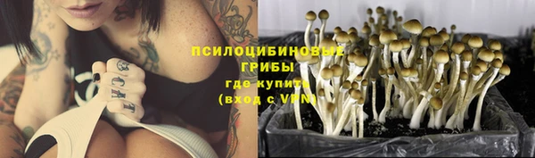 PSILOCYBIN Вязники