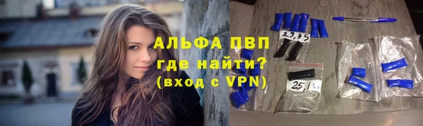 дживик Вязьма