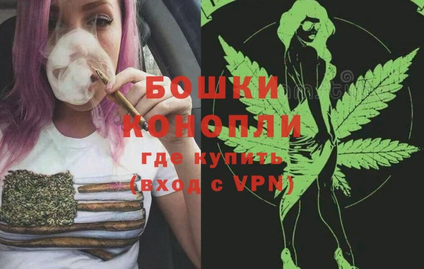 PSILOCYBIN Вязники