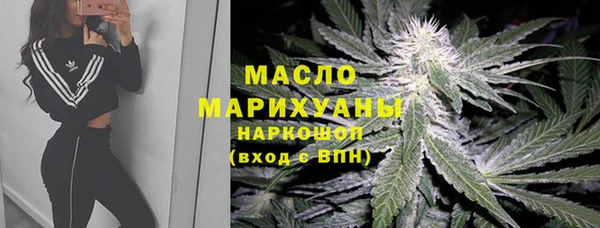 дживик Вязьма