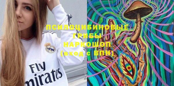 дживик Вязьма