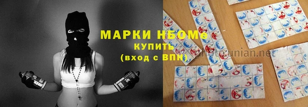 дживик Вязьма