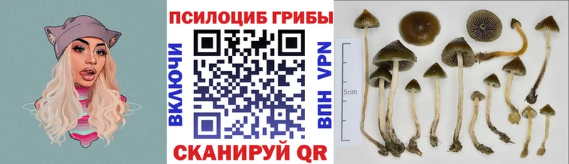 Псилоцибиновые грибы Magic Shrooms Гагарин