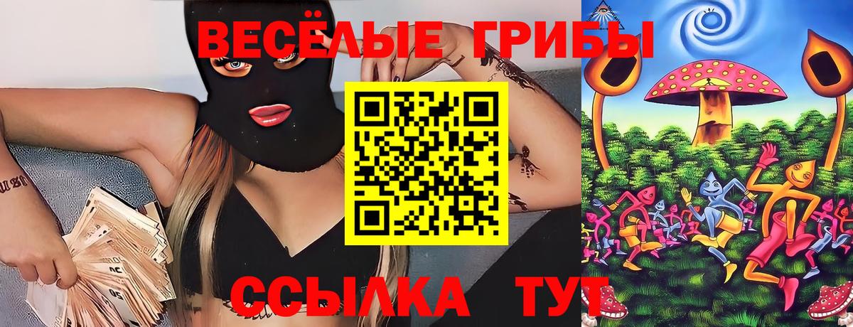 Псилоцибиновые грибы мицелий  Галлюциногенные грибы MAGIC MUSHROOMS  Гагарин 