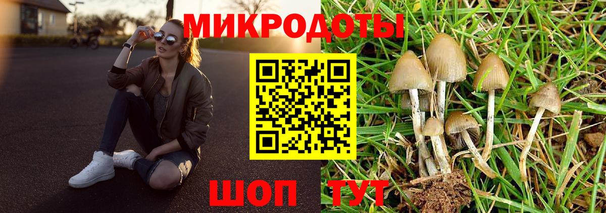 Галлюциногенные грибы Magic Shrooms  купить наркоту  Псилоцибиновые грибы ЛСД  Гагарин  Вход с VPN 