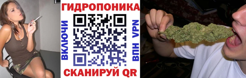 blacksprut как зайти  цена наркотик  Гагарин  Бошки марихуана план 